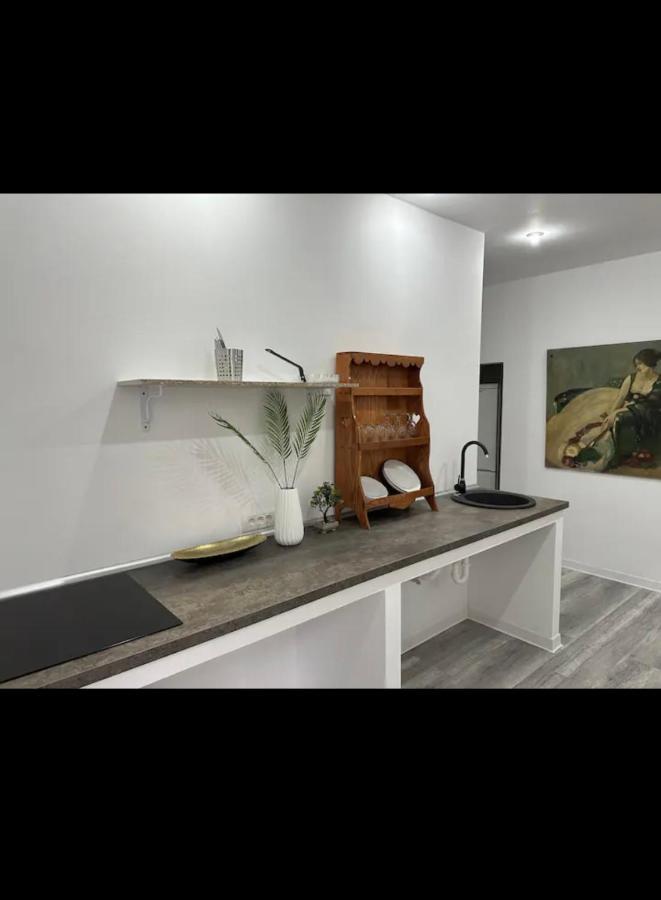 Piata Libertatii Apartament 1 Room Timisoara Luaran gambar